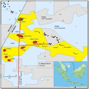 Blok Natuna Bisa Hasilkan US$ 20 Miliar per Tahun