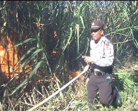 15 Hektar Lahan Tebu Siap Panen Ludes Terbakar