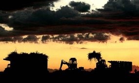 Industri Wajib Pakai BBN