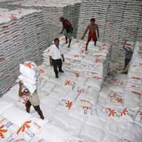 Harga Beras Dunia Turun