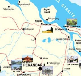 Polisi Buru Pria Kolor Coklat