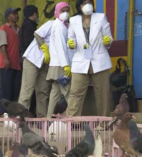 Direktur Bio Farma Ditahan