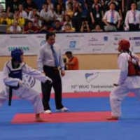Indonesia Sabet Perunggu di Kejuaraan Dunia Taekwondo 2008