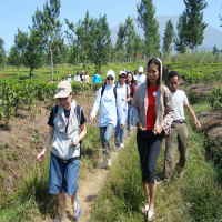Tea Walk Bareng Detikfood dan Sahabat Nestle