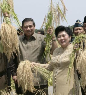 SBY: Indonesia Bisa Jadi Lumbung Beras Internasional
