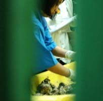 Salah Satu Korban Ryan Pakai Gelang Karet