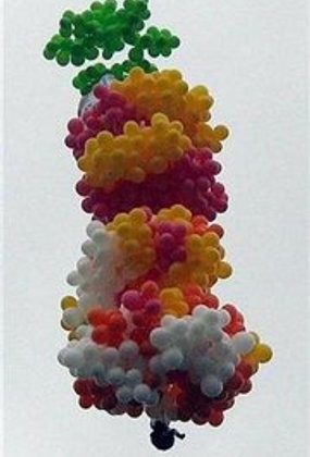 Polisi Pastikan Jenazah Pastor Balon