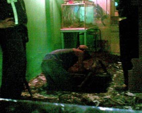 Polisi Tidak Temukan Mayat di Kamar Ryan