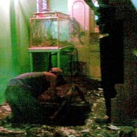Jebol Pagar Bambu, Warga Semakin Tidak Terkendali