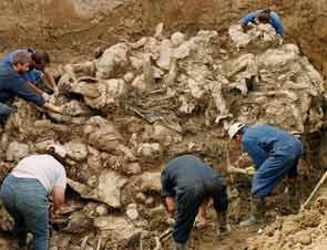 Karadzic Ungkap Deal Rahasia Srebrenica