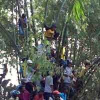 Jebol Pagar Bambu, Warga Semakin Tidak Terkendali