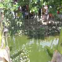 Teledor, Balita 2,5 Tahun Tewas Tercebur Sungai