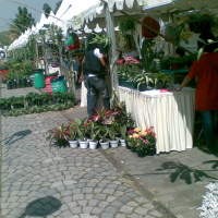 Dari Tanaman Hingga Tenun Tradisional