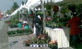 Dari Tanaman Hingga Tenun Tradisional