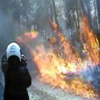 Dua Hektar Hutan Jati di Tuban Terbakar