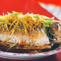 Tim Ikan Yang Lezat