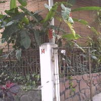 Alamat Pelaku Teror Ternyata Kos-kosan