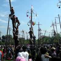 Agustusan, Pemkab Jember Geber Lomba Panjat Pinang