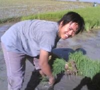 Bukti Nyata Calon Presiden dan Calon Wakil Rakyat