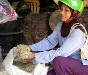 Warga Tuban Mulai Makan Nasi Aking
