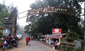 Taman Hutan Rakyat di Gunung Arjuno Rawan Kebakaran