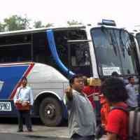 PO Bus Alami Lonjakan Penumpang Hingga 20%
