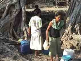 Krisis Air, Warga Tuban Cari Air di Akar Pohon