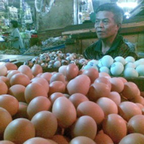 H-4 Puasa, Harga Telur Tembus Rp 16 Ribu per Kg