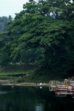 Melongok Kesejukan Danau Lido