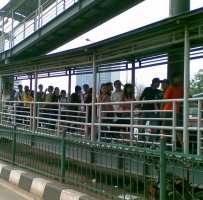 Sopir Mogok, Penumpang TransJ Koridor III Antre 10 Meter