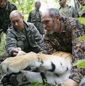 Dor! Putin Selamatkan Kru Televisi dari Serangan Harimau