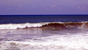 Dua Mahasiswa Ditelan Ombak Pantai Jolosutro