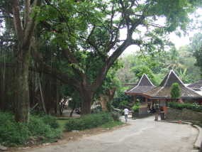 Untuk Bersihkan Baksil, SOS Dipecah