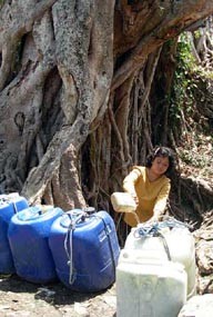 Sumber Air Mengering, Warga Tuban Kian Terpuruk