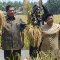Protes Petani Atas Padi Promosi SBY Dianggap Biasa