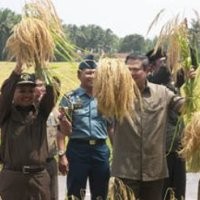 Mentan Minta Gagal Supertoy Tak Dikaitkan Dengan SBY