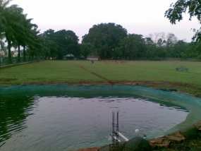 Belasan Rusa Hadir di DPR