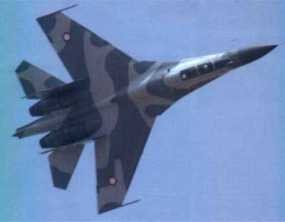 Dephan Berharap DPR Hapus Tanda Bintang Pembelian 6 Sukhoi