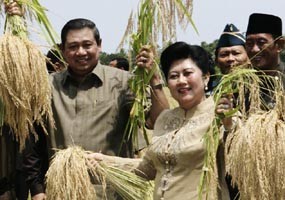 DPR Akan Minta Pertanggungjawaban Deptan