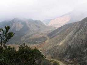 Kepala BBKSDA Jabar: Penambang Jangan Dilepas Begitu Saja