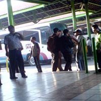 Hindari Calo, Awak Bus Akan Diberi Seragam Khusus