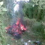 100 Kg Daging Sampah Dimusnahkan