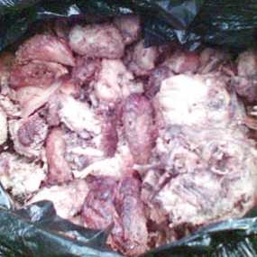 Jaksel Rawan Ayam Suntik, Jakbar Rawan Daging Sampah