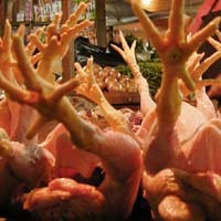 Pernah Ditangkap, Suminah & Tentrem Tak Kapok Jual Ayam Tiren