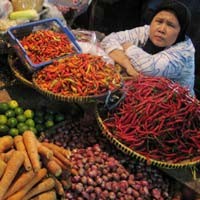 Stok Melimpah, Harga Sembako di Yogyakarta Turun