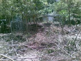 Baksil Akan Ditanami 1.900 Pohon