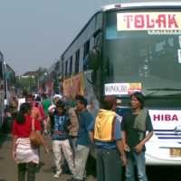 Peserta Mudik Tukang Jamu Membeludak