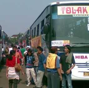 Peserta Mudik Tukang Jamu Membeludak