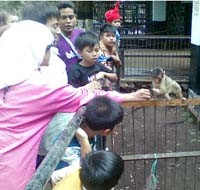 Lebaran Pertama Kebon Binatang Ramai