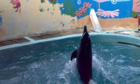 Hamil 6 Bulan, Lili Tetap Hibur Pengunjung Ancol